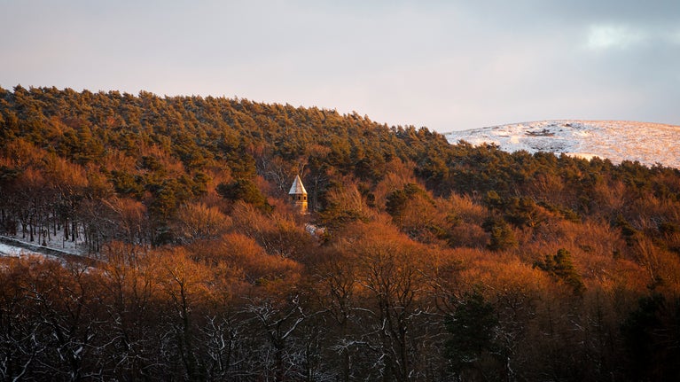 The snow covered roof of the Lantern in the woods at Lyme, Cheshire